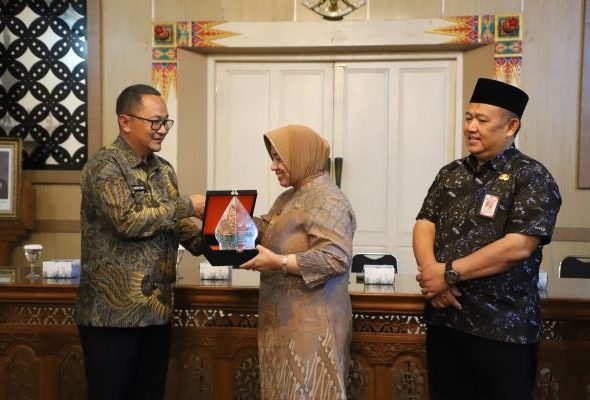 WhatsApp Image 2026-02-14 at 14.51.51