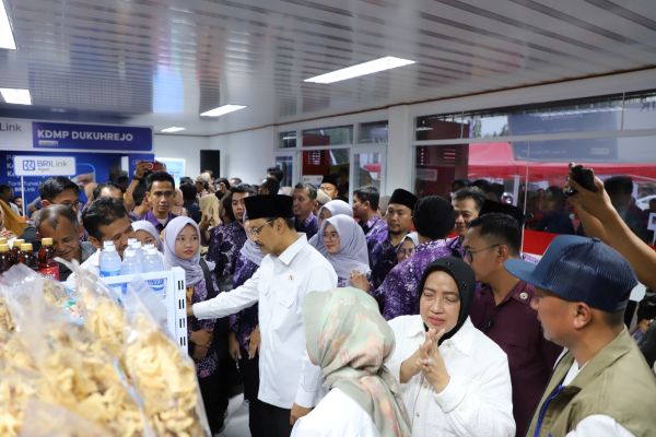 WhatsApp Image 2026-02-19 at 09.03.03